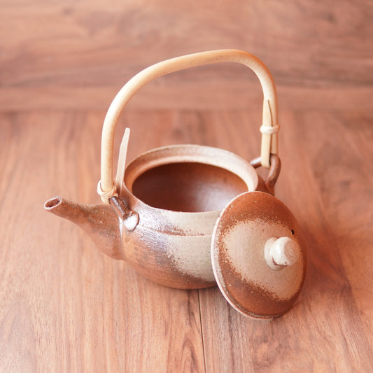 Shigaraki Earthenware Teapot