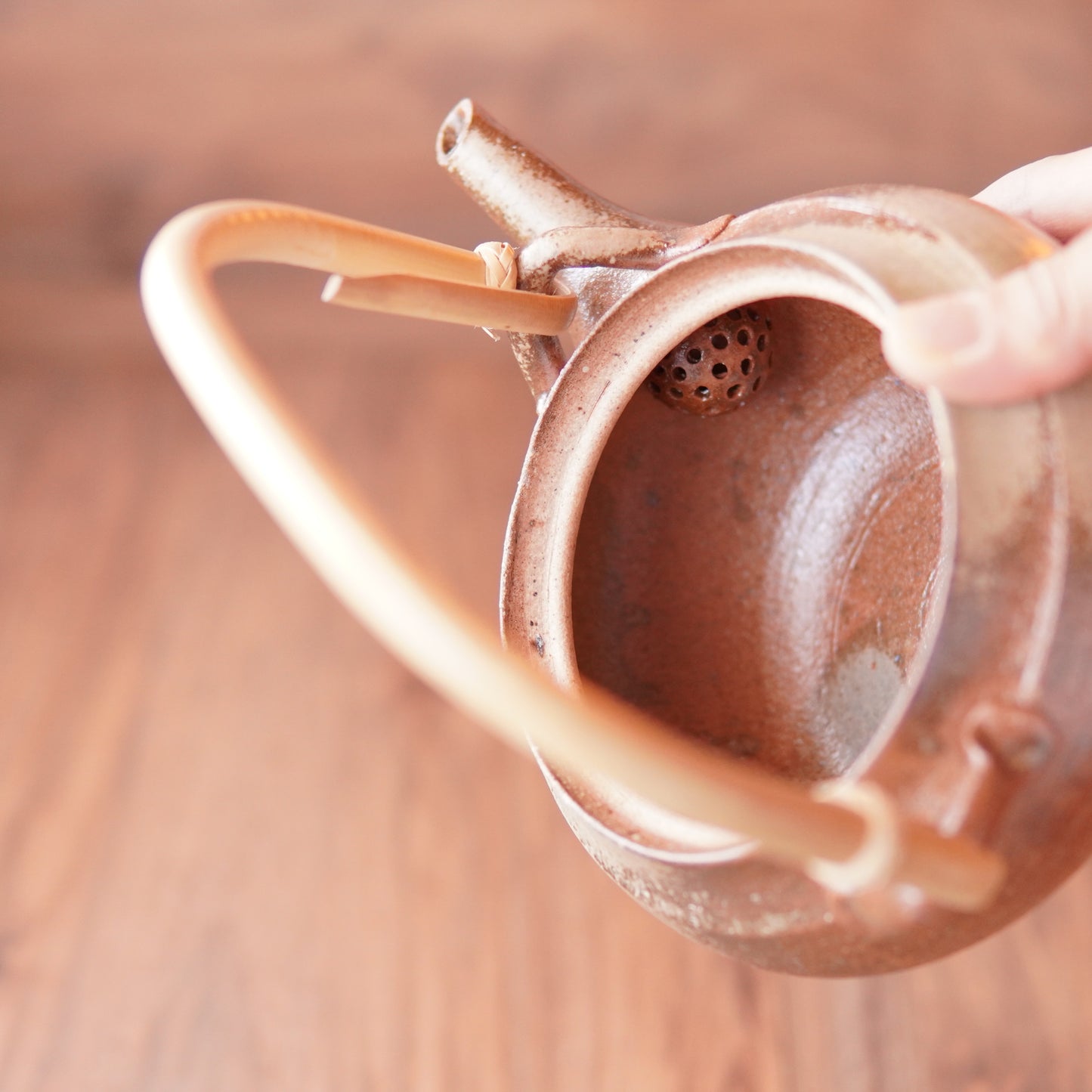 Shigaraki Earthenware Teapot